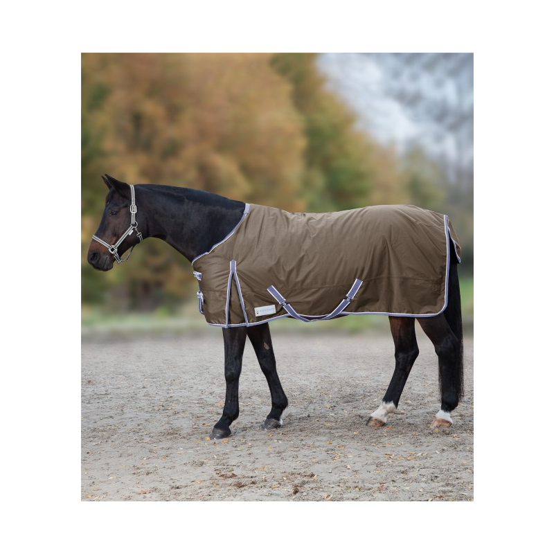 HACKAMORE CON BARRE IN OTTONE HACKAMORE CON BARRE IN OTTONE