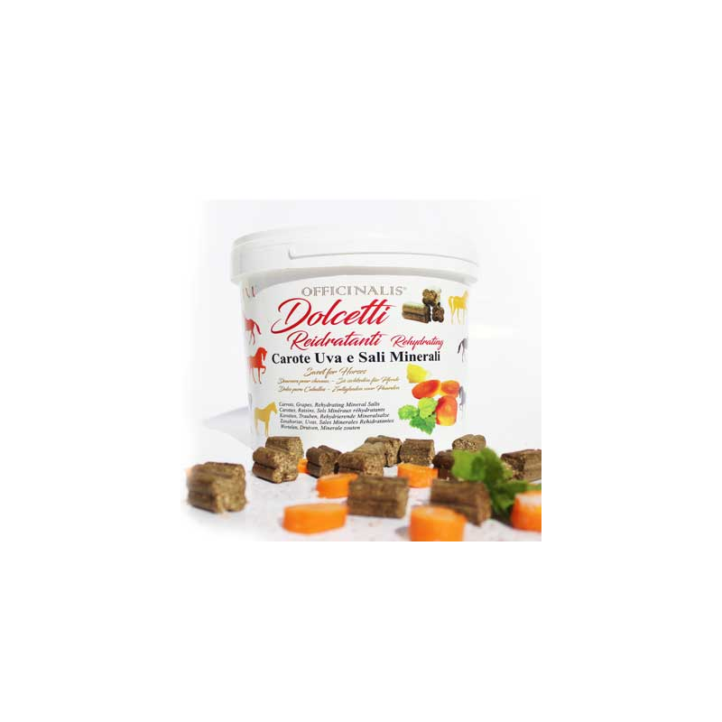 COPERTA BUSSE DA PADDOK MOLTO ROBUSTA 400GR COPERTA BUSSE DA PADDOK MOLTO ROBUSTA 400GR