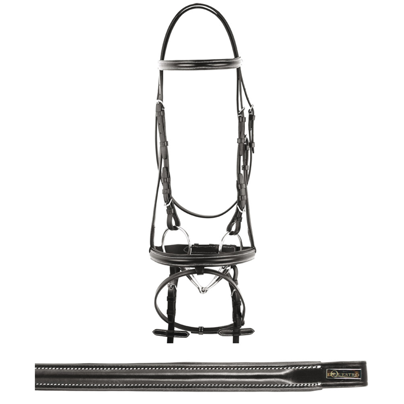 PARATENDINE + PARANOCCA WHALDAUSEN SET PRO PARATENDINE + PARANOCCA WHALDAUSEN SET PRO