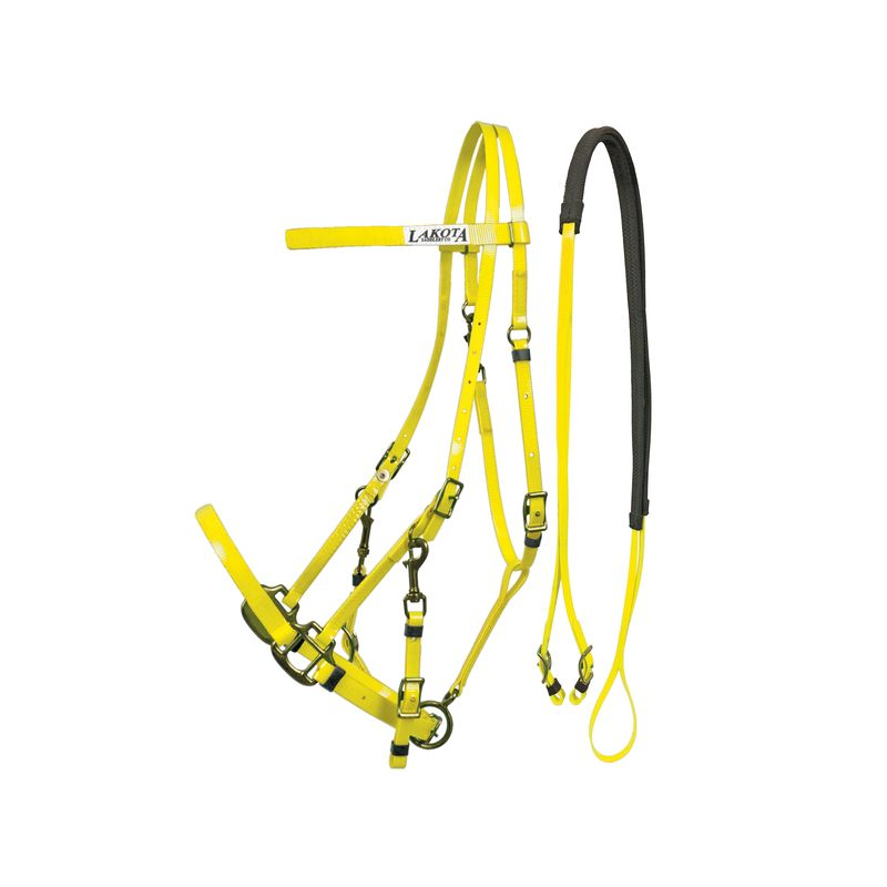 FIBBIA PER CINTURA WESTERN COLORAZIONE SMALTATA FIBBIA PER CINTURA WESTERN COLORAZIONE SMALTATA