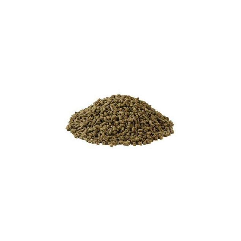 COPERTA A RETE CON CINGHIE INCROCIO WALDHAUSEN COPERTA A RETE CON CINGHIE INCROCIO WALDHAUSEN