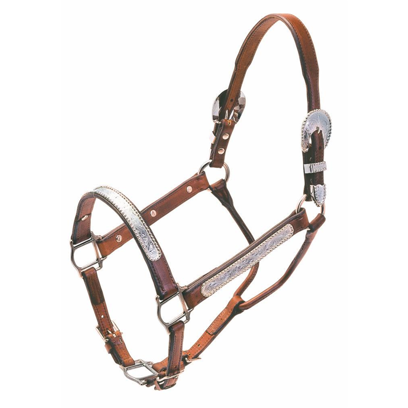 FIBBIA PER CINTURA WESTERN ALPACCA SOGGETTI MONTA WESTERN FIBBIA PER CINTURA WESTERN ALPACCA SOGGETTI MONTA WESTERN