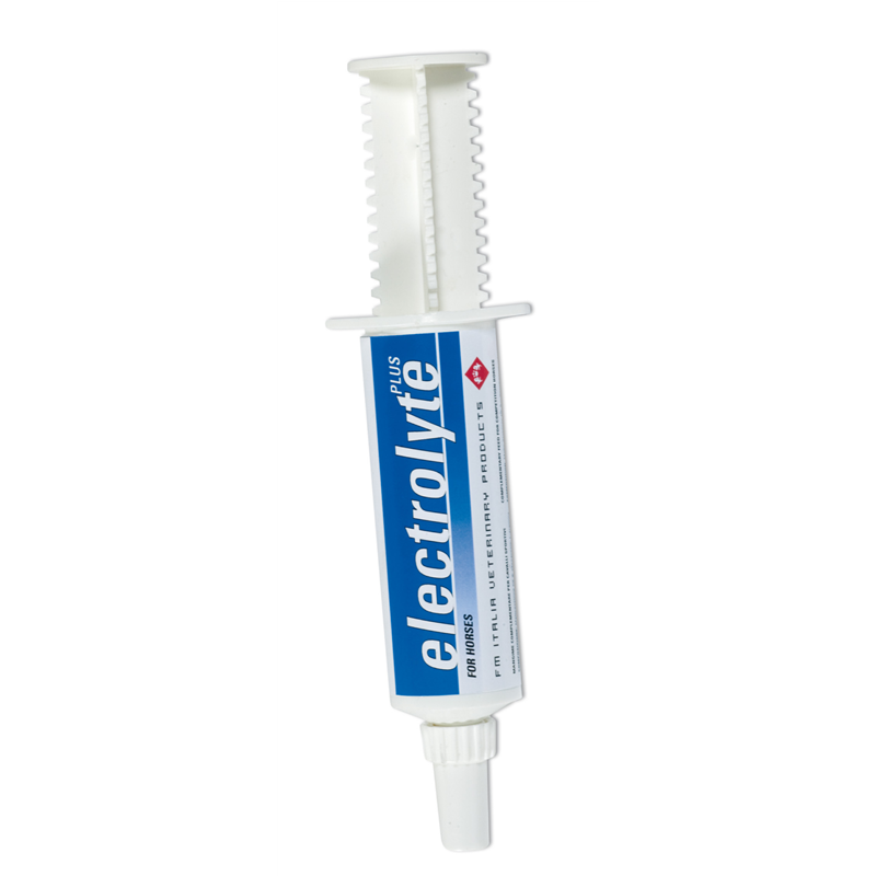 SOTTOPANCIA INGLESE DRESSAGE SP91 SOTTOPANCIA INGLESE DRESSAGE SP91